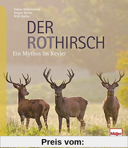 Der Rothirsch: Ein Mythos im Revier